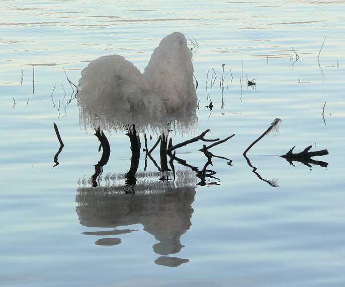 Dec. 30, 2006 - Camp Richardson area along the shore of Lake Tahoe, California.<br />Ice mushrooms.