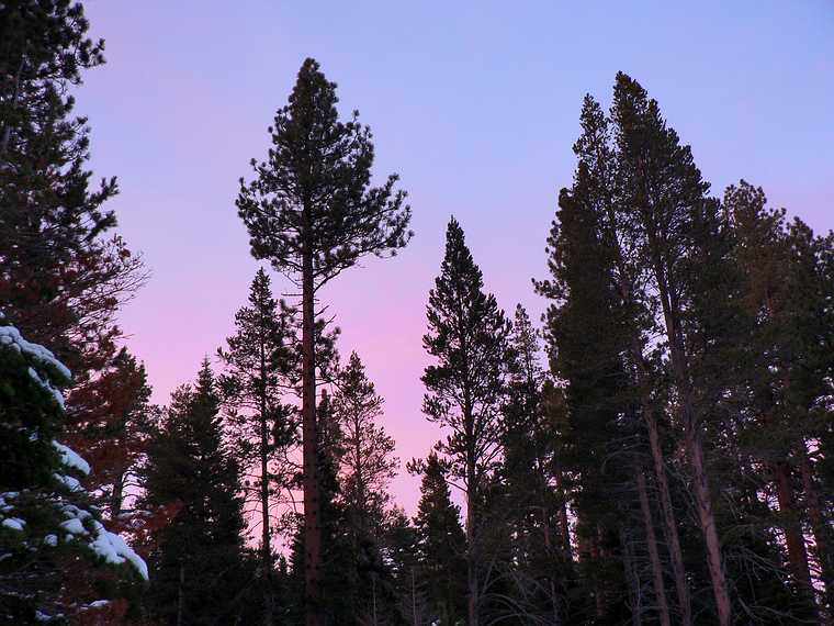 Dec. 30, 2006 - Camp Richardson area along the shore of Lake Tahoe, California.