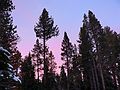 Dec. 30, 2006 - Camp Richardson area along the shore of Lake Tahoe, California.