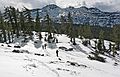 Dec. 31, 2006 - Hike along trail from California-88 to Red Lake Peak (10,063 ft, 3,067 m).<br />Joyce, Melody, and Sati leading the way.