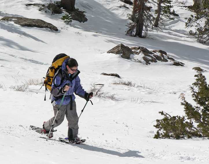 Dec. 31, 2006 - Hike along trail from California-88 to Red Lake Peak (10,063 ft, 3,067 m).<br />And heeere comes Melody.