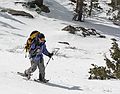 Dec. 31, 2006 - Hike along trail from California-88 to Red Lake Peak (10,063 ft, 3,067 m).<br />And heeere comes Melody.