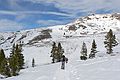 Dec. 31, 2006 - Hike along trail from California-88 to Red Lake Peak (10,063 ft, 3,067 m).