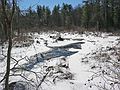 Feb. 24, 2007 - Carlisle, Massachusetts.<br />Hike with Get Outdoors New England group at Great Brook Farm State Park.