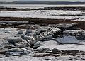 March 1, 2007 - Parker River National Wildlife Refuge, Plum Island, Massachusetts.<br />Hellcat Swamp area.