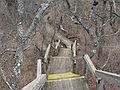 March 5, 2007 - Parker River National Wildlife Refuge, Plum Island, Massachusetts.<br />Dune walk at Hellcat Swamp.
