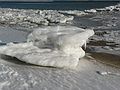 March 9, 2007 - Sandy Point State Reservation, Plum Island, Massachusetts.