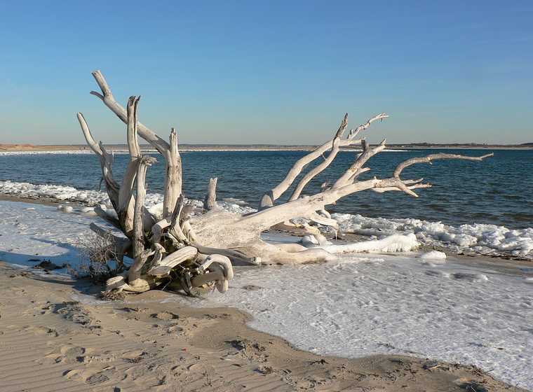 March 9, 2007 - Sandy Point State Reservation, Plum Island, Massachusetts.