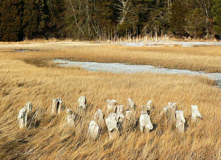 March 12, 2007 - Along the Little River, Old Town Hill, Newbury, Massachusetts.<br />Same staddle, different perspective.