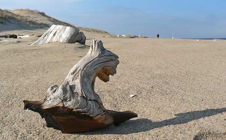 March 13, 2007 - Parker River National Wildlife Refuge, Plum Island, Massachusetts.