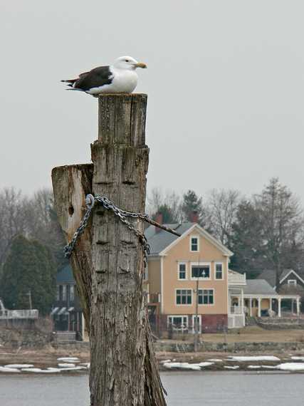 March 14, 2007 - Hilton's Boat Yard, Newburyport, Massachusetts.