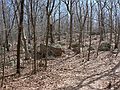 March 24, 2007 - Dogtown (Gloucester/Rockport), Massachusetts.<br />Get Outdoors New England and SubSig hike.