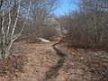March 24, 2007 - Dogtown (Gloucester/Rockport), Massachusetts.<br />Get Outdoors New England and SubSig hike.