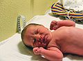 March 24, 2007 - Vogar, Iceland.<br />Eric and Inga are the proud new parents of Markus,<br />Born at 11:44 pm, 7.55 lbs (3.425 kg) , 20.5" (52 cm).