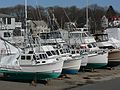 March 28, 2007 - Ring's Island, Salisbury, Massachusetts.