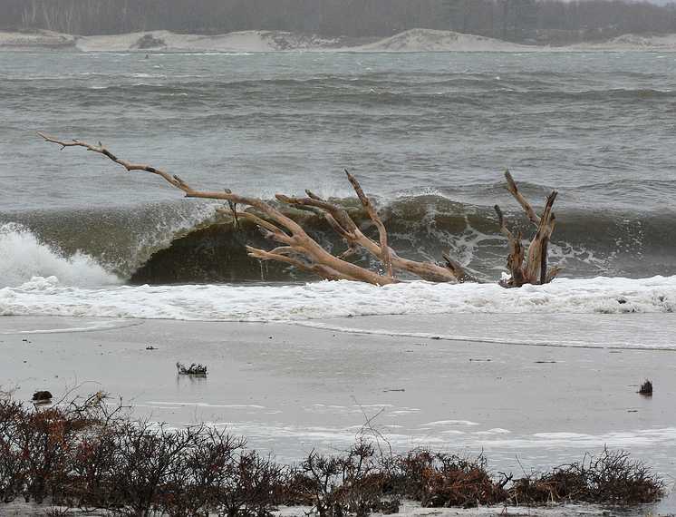 April 17, 2007 - Sandy Point State Reservation, Plum Island, Massachusetts.<br />The tree that John and I have photographed so many times being battered by the waves.