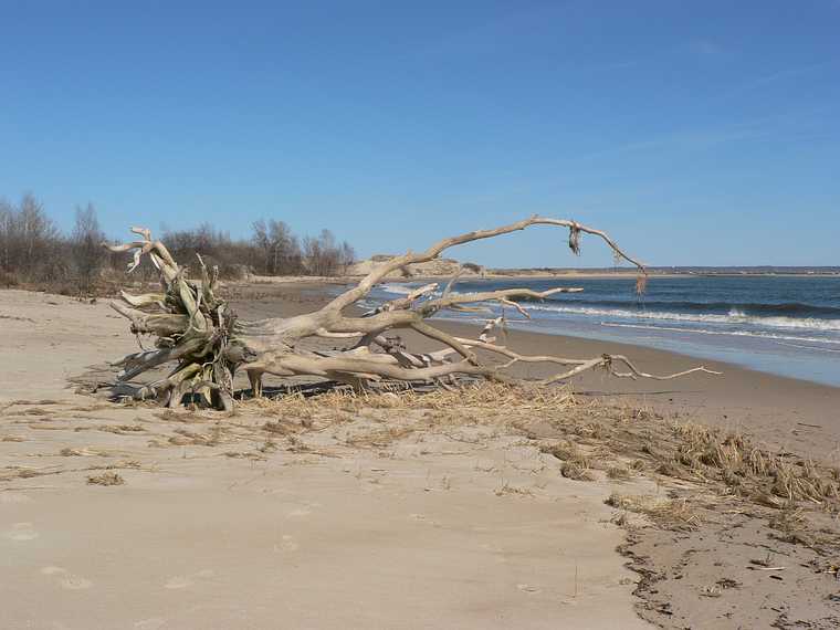 April 20, 2007 - Sandy Point State Reservation, Plum Island, Massachusetts.