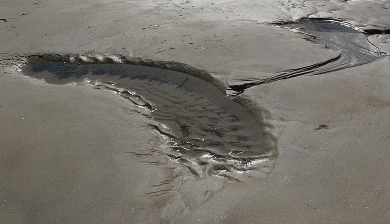 April 21, 2007 - Sandy Point State Reservation, Plum Island, Massachusetts.