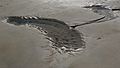 April 21, 2007 - Sandy Point State Reservation, Plum Island, Massachusetts.