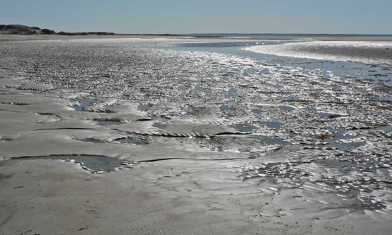 April 21, 2007 - Sandy Point State Reservation, Plum Island, Massachusetts.