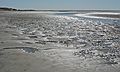 April 21, 2007 - Sandy Point State Reservation, Plum Island, Massachusetts.