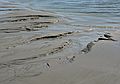 April 21, 2007 - Sandy Point State Reservation, Plum Island, Massachusetts.