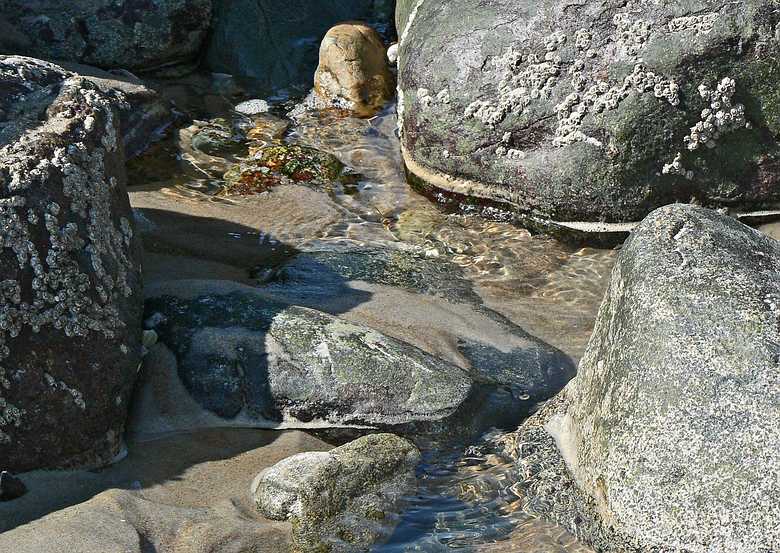 April 21, 2007 - Sandy Point State Reservation, Plum Island, Massachusetts.