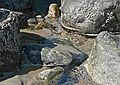 April 21, 2007 - Sandy Point State Reservation, Plum Island, Massachusetts.