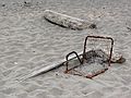 May 10, 2007 - Parker River Wildlife Refuge, Plum Island, Massachusetts.