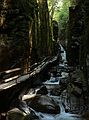 May 25, 2007 - The Flume, Franconia Notch, New Hampshire.<br />In the gorge. The wall rise up to 90 feet and vary in width from 12 to 20 feet.