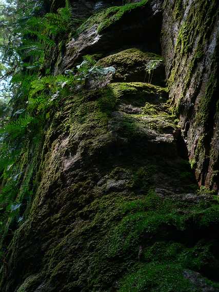 May 25, 2007 - The Flume, Franconia Notch, New Hampshire.<br />In the gorge.