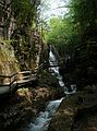 May 25, 2007 - The Flume, Franconia Notch, New Hampshire.<br />In the gorge.