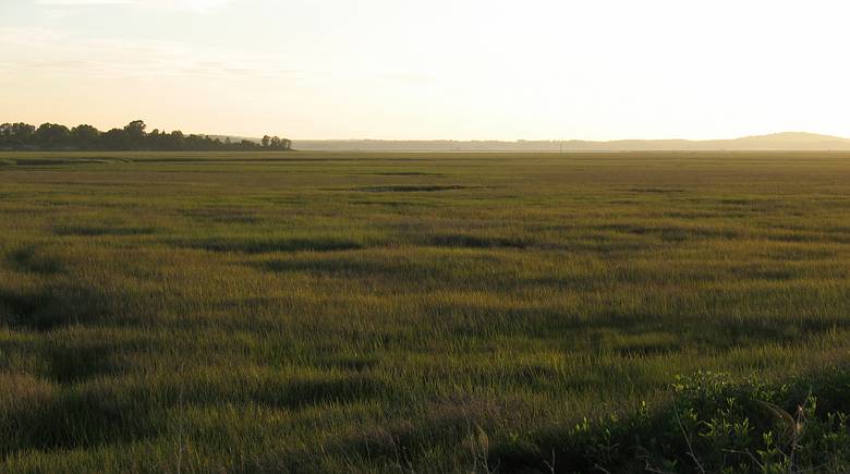 June 15, 2007 - Parker River National Wildlife Refuge, Plum Island, Massachusetts.