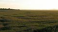 June 15, 2007 - Parker River National Wildlife Refuge, Plum Island, Massachusetts.