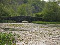 June 18, 2007 - Ipswich River Wildlife Sanctuary, Topsfield, Massachusetts.