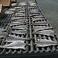 June 23, 2007 - Mystic Seaport, Connecticut.<br />Cod set out to dry in the sun and air for preservation.