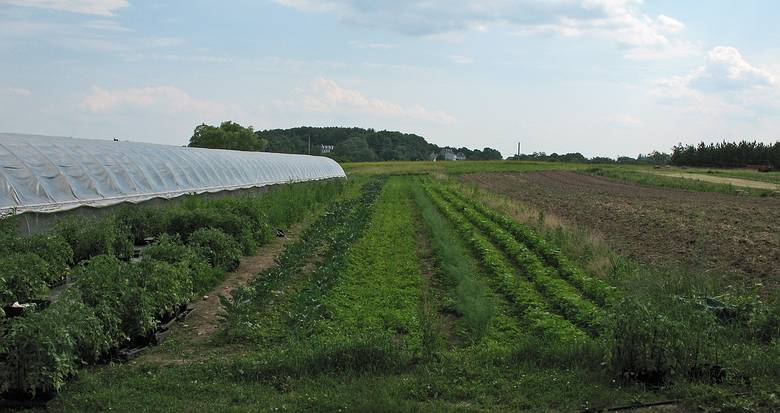 June 25, 2007 - Amesbury, Massachusetts.<br />Middle Earth Farm, a community supported agriculture (CSA).