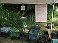 June 25, 2007 - Amesbury, Massachusetts.<br />Middle Earth Farm, a community supported agriculture (CSA).