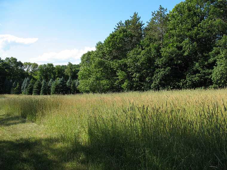 July 3, 2007 - Maudslay State Park, Newburyport, Massachusetts.