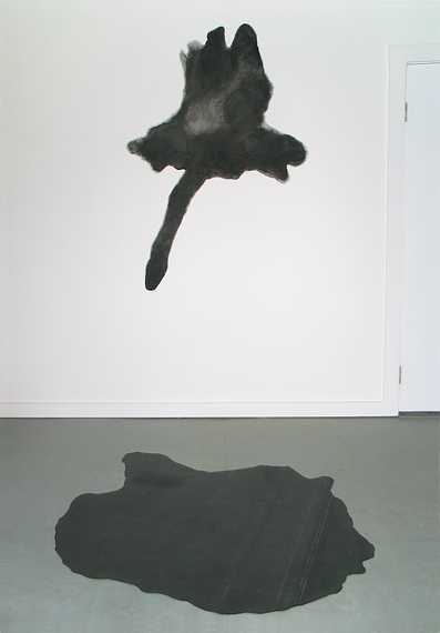 July 6, 2007 - Amesbury, Massachusetts.<br />Joyce's tree footprints.