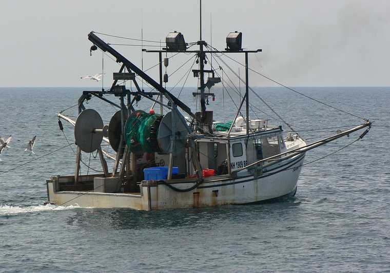 July 9, 2007 - Off the coast of Massachusetts.<br />A whale and bird watch trip in the Prince of Whale out of Newburyport.