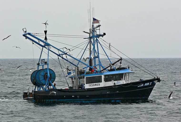 July 9, 2007 - Off the coast of Massachusetts.<br />A whale and bird watch trip in the Prince of Whale out of Newburyport.