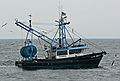 July 9, 2007 - Off the coast of Massachusetts.<br />A whale and bird watch trip in the Prince of Whale out of Newburyport.