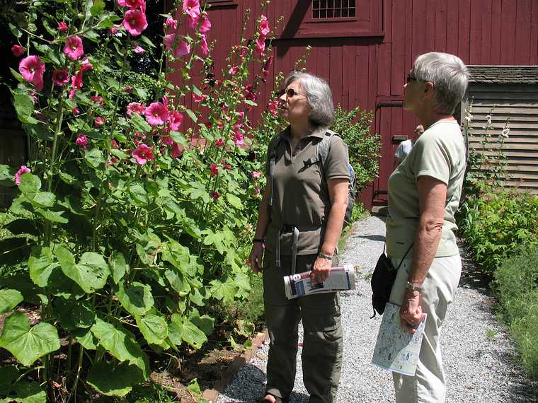 July 14, 2007 - Stockbridge, Massachusetts.<br />The Trustees of Reservations' Mission House.<br />Baiba and Joyce dwarfed by the flowers.