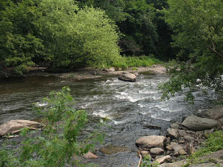 July 15, 2007 - Great Barrington, Massachusetts.<br />Along footpath along the Housatonic River.