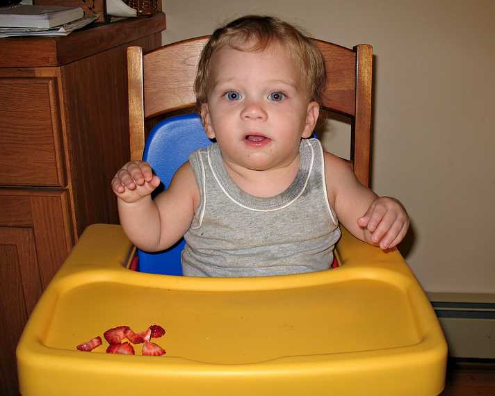 July 21, 2007 - Merrimac, Massachusetts.<br />Matthew is also fascinated by electronic gadgets, like the camera.
