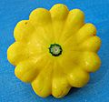 July 27, 2007 - Lawrence, Massachusetts.<br />Patty pan squash from Paul's garden.