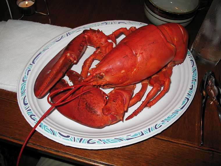 July 28, 2007 - Manchester by the Sea, Massachusetts.<br />Uldis' birthday.<br />The lobster on my (Egils') plate.