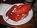 July 28, 2007 - Manchester by the Sea, Massachusetts.<br />Uldis' birthday.<br />The lobster on my (Egils') plate.