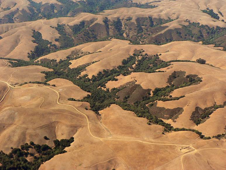 August 11, 2007 - Golden grassland over California near Oakland.<br />On Southwest Airlines flight from Manchester, NH to Oakland, CA.